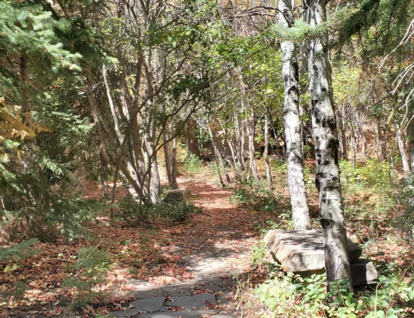 carriage-outside-path