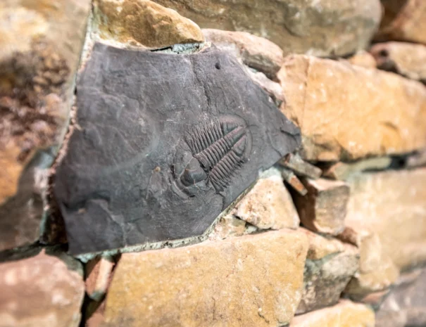 sunshine-lodge-dining-fossil