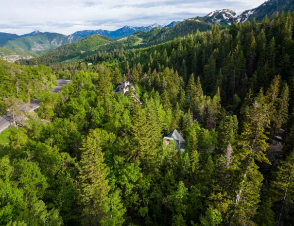 sunshine-lodge-landscape