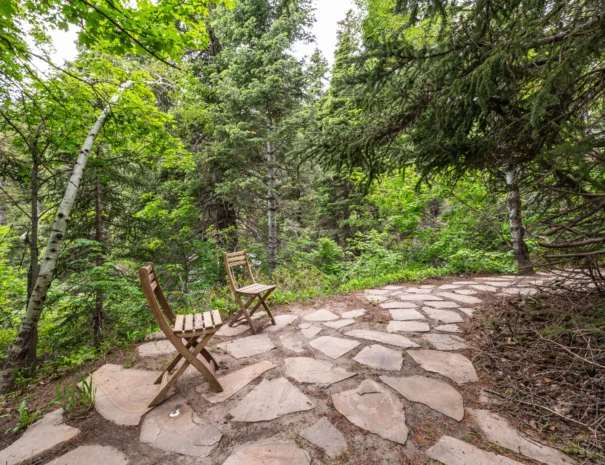 sunshine-lodge-rear-path-day-view-2