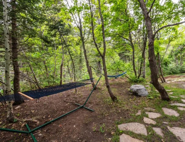sunshine-lodge-rear-path-day-view-hammock