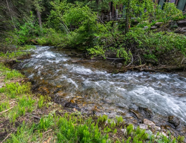 sunshine-lodge-river-view-1