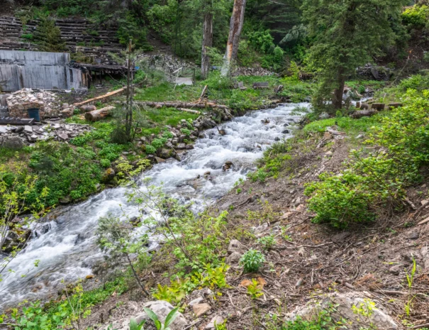 sunshine-lodge-river-view-3